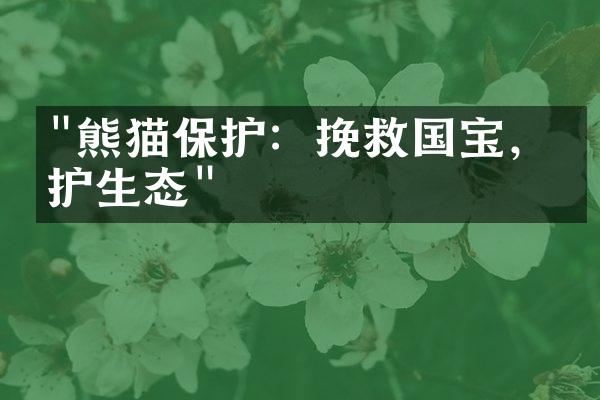 "熊猫保护：挽救国宝，守护生态"
