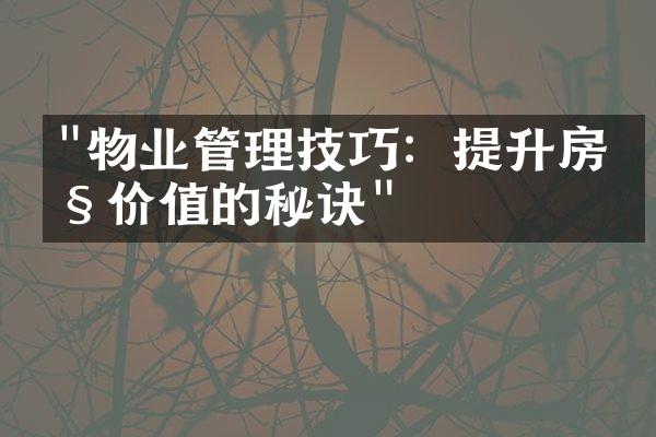 "物业管理技巧：提升房产价值的秘诀"