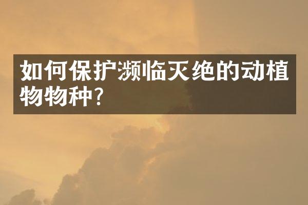 如何保护濒临灭绝的动植物物种？