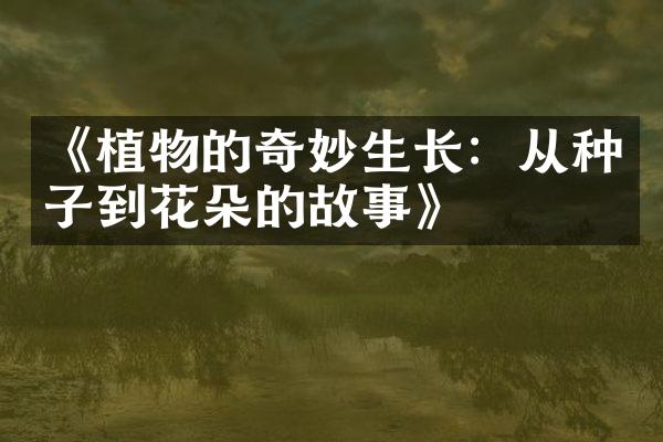 《植物的奇妙生长：从种子到花朵的故事》