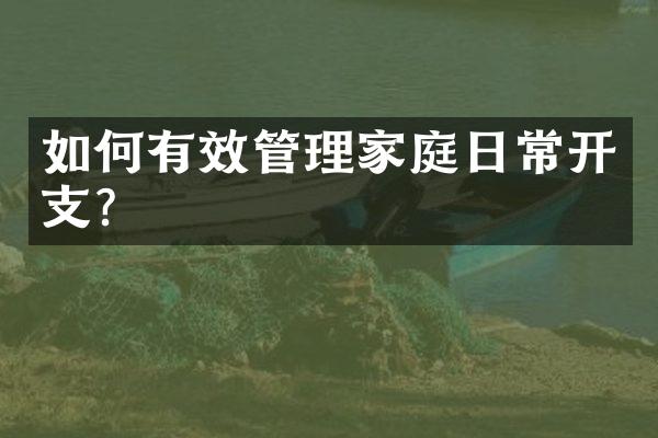 如何有效管理家庭日常开支？