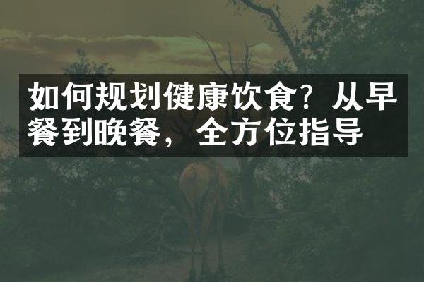 如何规划健康饮食？从早餐到晚餐，全方位指导