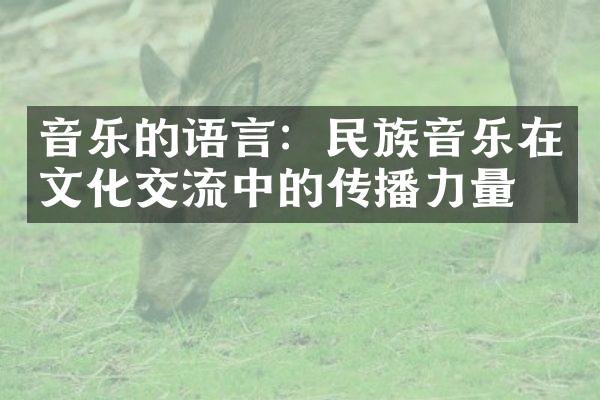 音乐的语言：民族音乐在文化交流中的传播力量