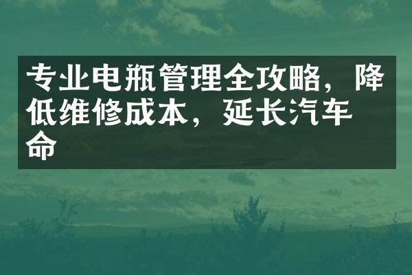 专业电瓶管理全攻略，降低维修成本，延长汽车寿命