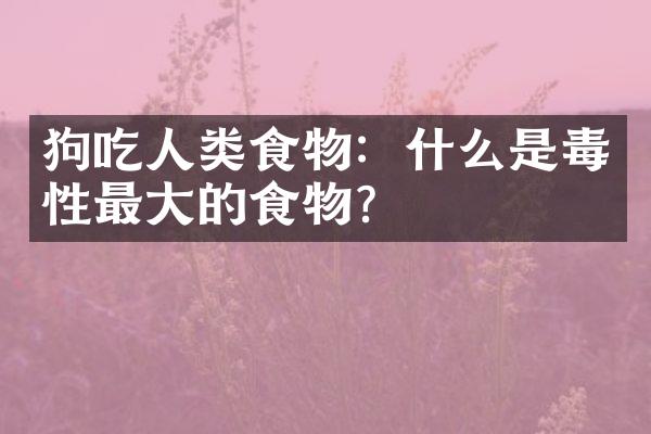 狗吃人类食物：什么是毒性最大的食物？