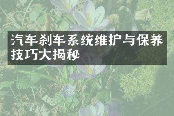 汽车刹车系统维护与保养技巧大揭秘