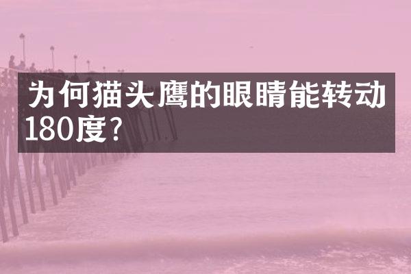 为何猫头鹰的眼睛能转动180度？