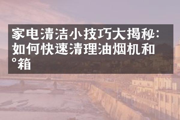 家电清洁小技巧大揭秘：如何快速清理油烟机和冰箱