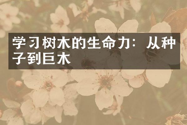 学习树木的生命力：从种子到巨木