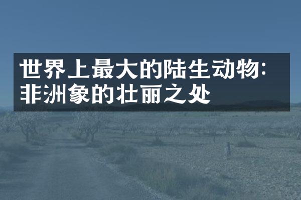 世界上最大的陆生动物：非洲象的壮丽之处