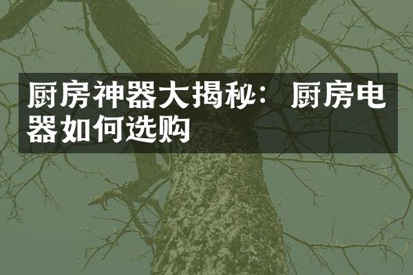 厨房神器大揭秘：厨房电器如何选购