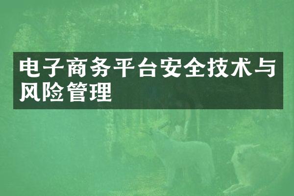 电子商务平台安全技术与风险管理