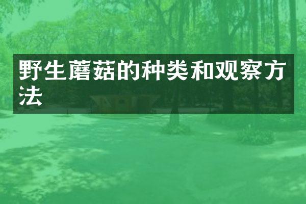 野生蘑菇的种类和观察方法