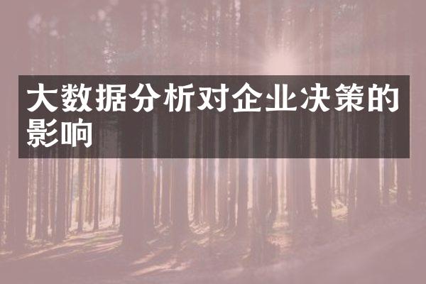 大数据分析对企业决策的影响