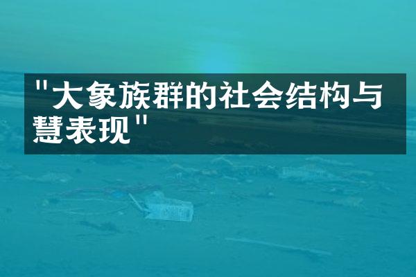 "大象族群的社会结构与智慧表现"