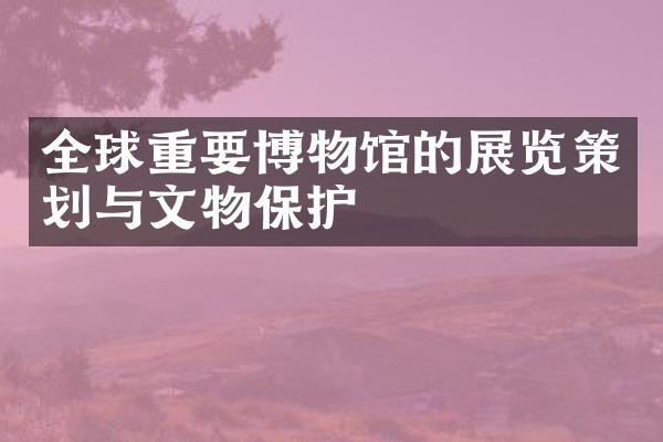 全球重要博物馆的展览策划与文物保护
