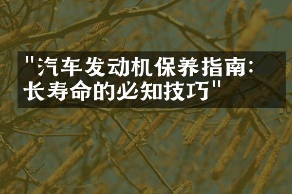 "汽车发动机保养指南：延长寿命的必知技巧"