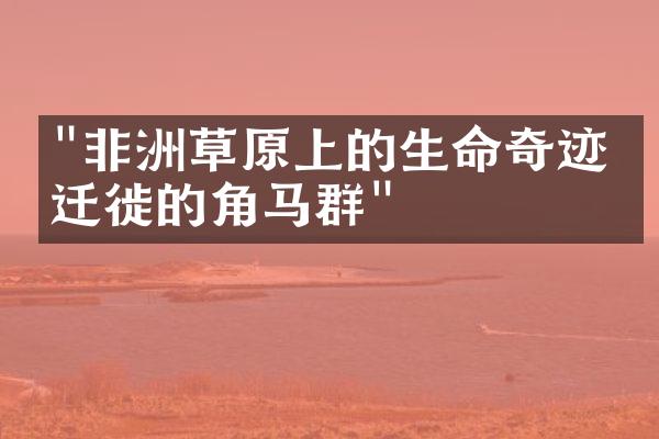 "非洲草原上的生命奇迹：迁徙的角马群"