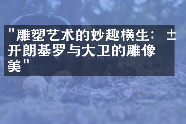 "雕塑艺术的妙趣横生：米开朗基罗与大卫的雕像之美"