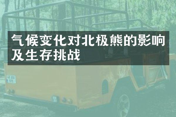 气候变化对北极熊的影响及生存挑战
