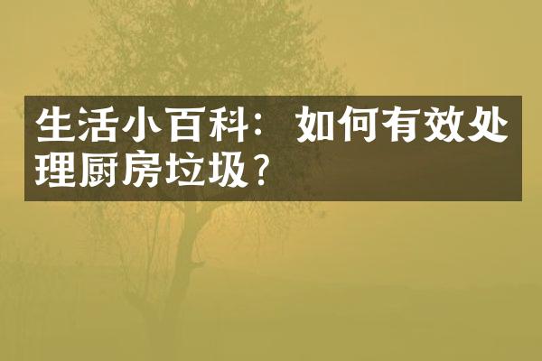 生活小百科：如何有效处理厨房垃圾？