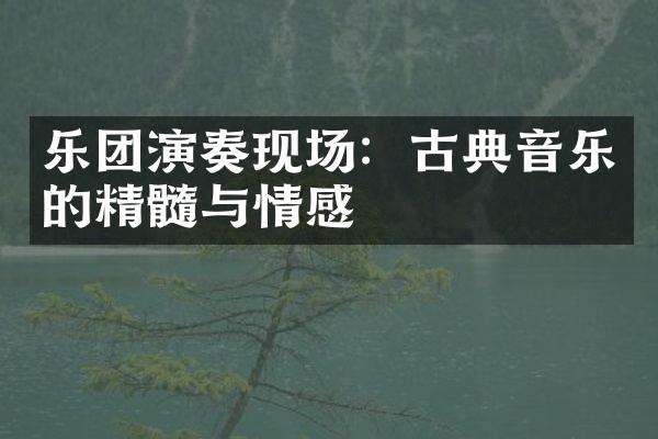 乐团演奏现场：古典音乐的精髓与情感