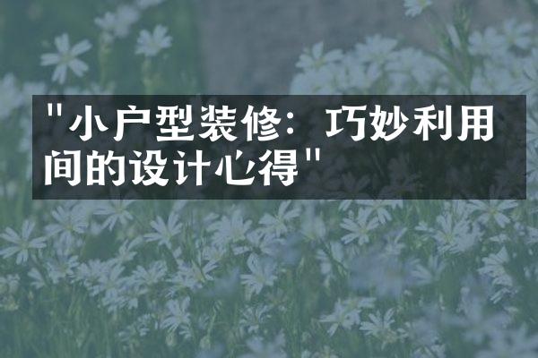 "小户型装修：巧妙利用空间的设计心得"