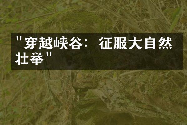 "穿越峡谷：征服大自然的壮举"