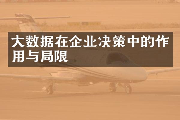 大数据在企业决策中的作用与局限