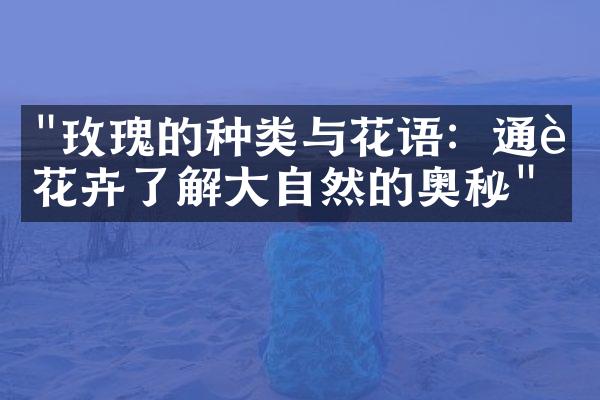 "玫瑰的种类与花语：通过花卉了解大自然的奥秘"