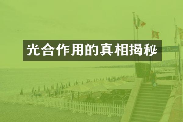 光合作用的真相揭秘