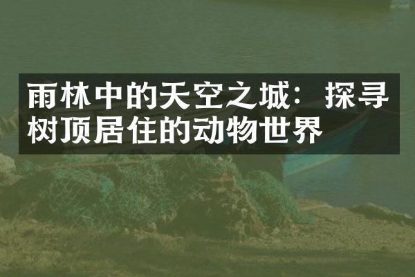 雨林中的天空之城：探寻树顶居住的动物世界