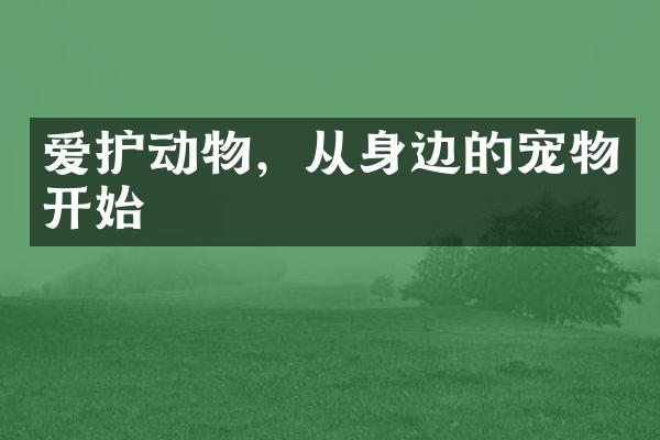 爱护动物，从身边的宠物开始
