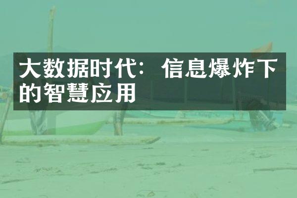 大数据时代：信息爆炸下的智慧应用