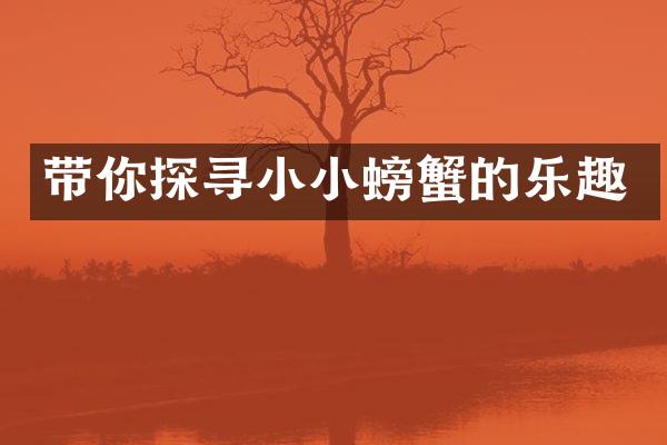 带你探寻小小螃蟹的乐趣