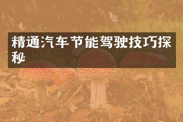 精通汽车节能驾驶技巧探秘