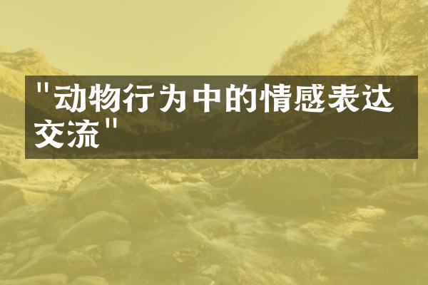 "动物行为中的情感表达与交流"