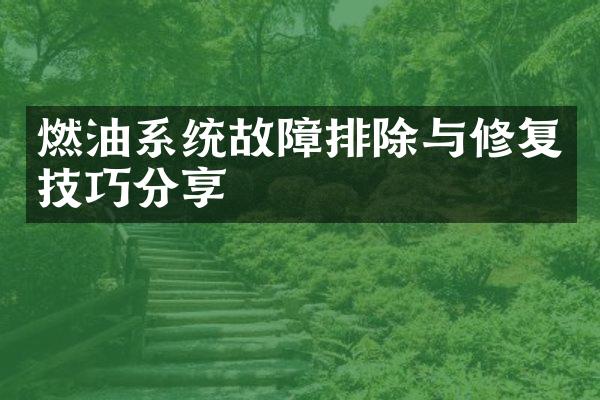 燃油系统故障排除与修复技巧分享
