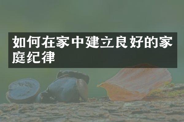 如何在家中建立良好的家庭纪律