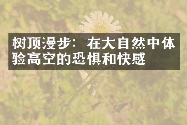 树顶漫步：在大自然中体验高空的恐惧和快感