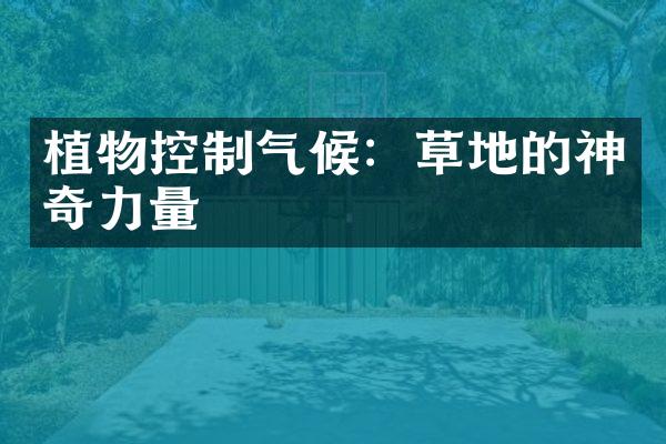植物控制气候：草地的神奇力量
