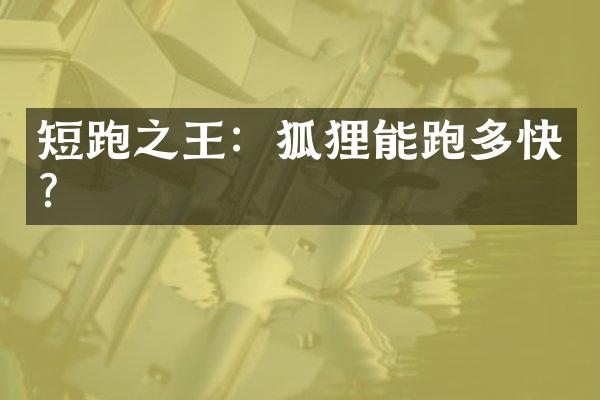 短跑之王：狐狸能跑多快？