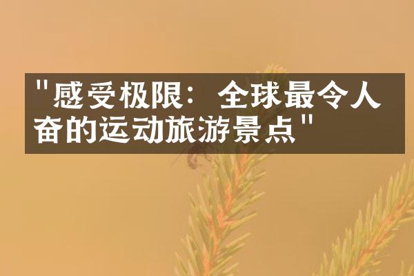 "感受极限：全球最令人兴奋的运动旅游景点"