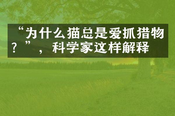 “为什么猫总是爱抓猎物？”，科学家这样解释。