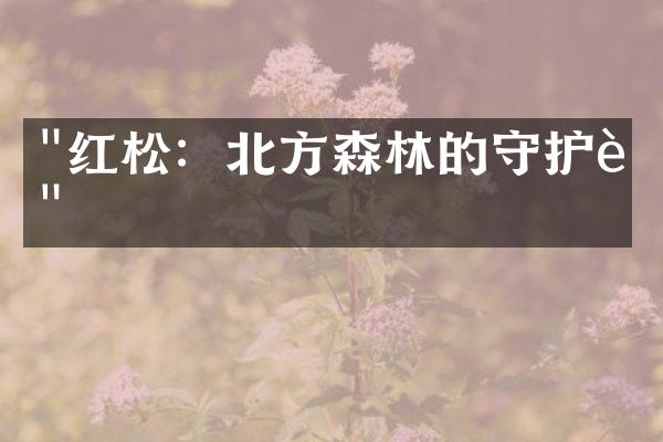 "红松：北方森林的守护者"