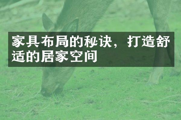 家具布局的秘诀，打造舒适的居家空间