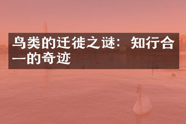 鸟类的迁徙之谜：知行合一的奇迹