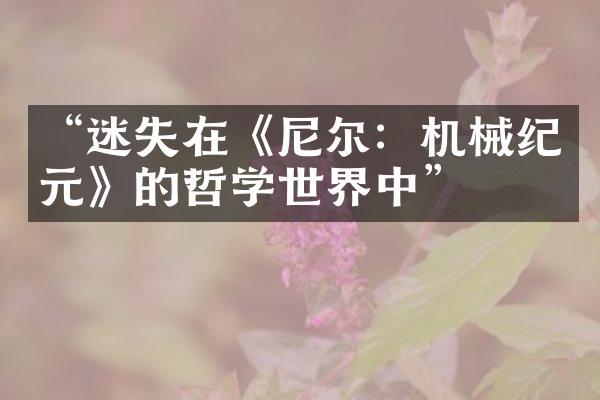 “迷失在《尼尔：机械纪元》的哲学世界中”