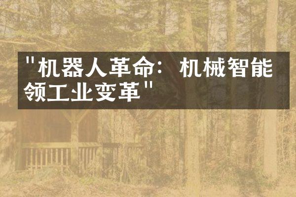 "机器人革命：机械智能引领工业变革"