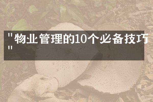 "物业管理的10个必备技巧"